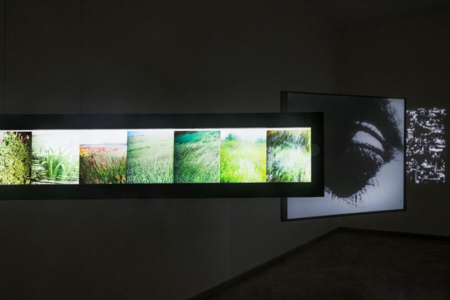 Foto: M. Dvořáková